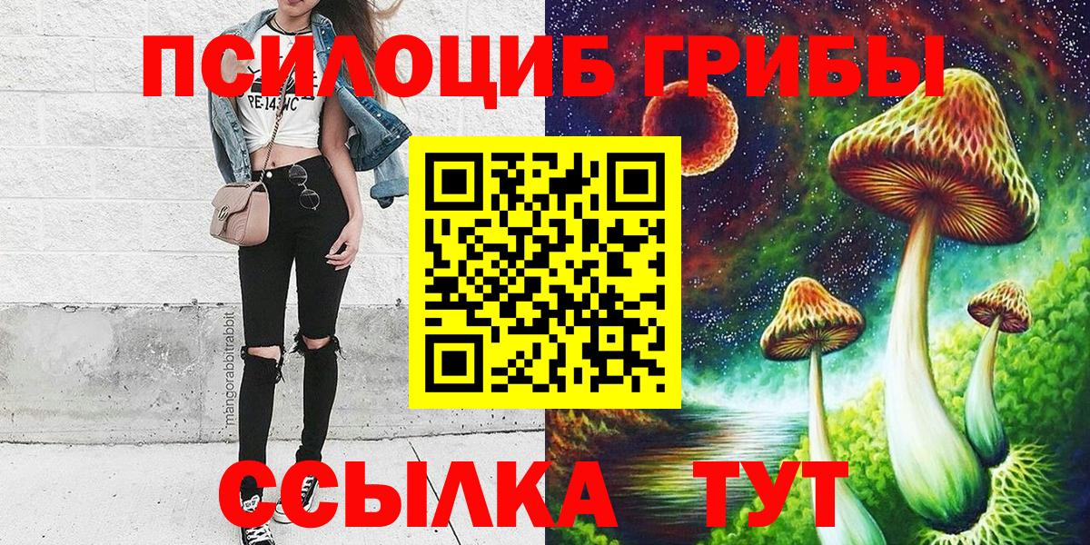 Бузулук  Галлюциногенные грибы Psilocybine cubensis  Вход с VPN 