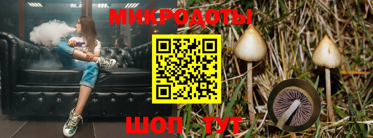 Галлюциногенные грибы MAGIC MUSHROOMS Бузулук